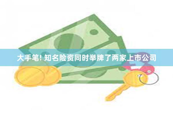 大手笔! 知名险资同时举牌了两家上市公司