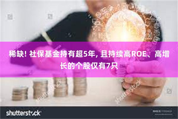 稀缺! 社保基金持有超5年, 且持续高ROE、高增长的个股仅有7只