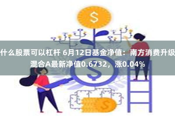 什么股票可以杠杆 6月12日基金净值：南方消费升级混合A最新净值0.6732，涨0.04%