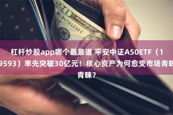 杠杆炒股app哪个最靠谱 平安中证A50ETF（159593）率先突破30亿元！核心资产为何愈受市场青睐？