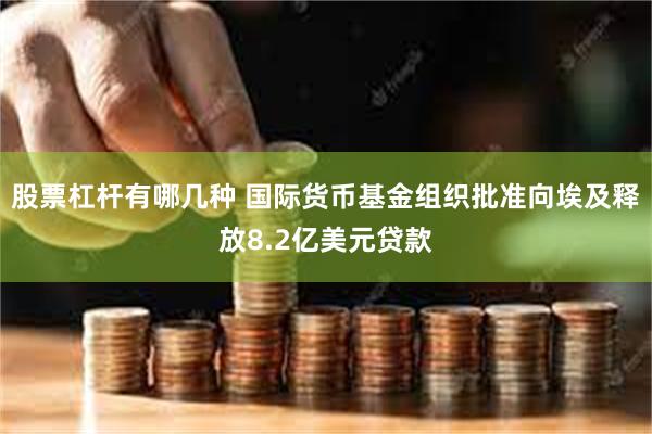 股票杠杆有哪几种 国际货币基金组织批准向埃及释放8.2亿美元贷款