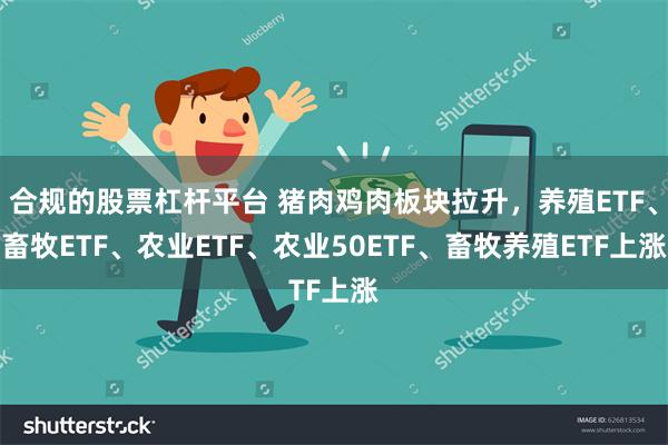 合规的股票杠杆平台 猪肉鸡肉板块拉升，养殖ETF、畜牧ETF、农业ETF、农业50ETF、畜牧养殖ETF上涨
