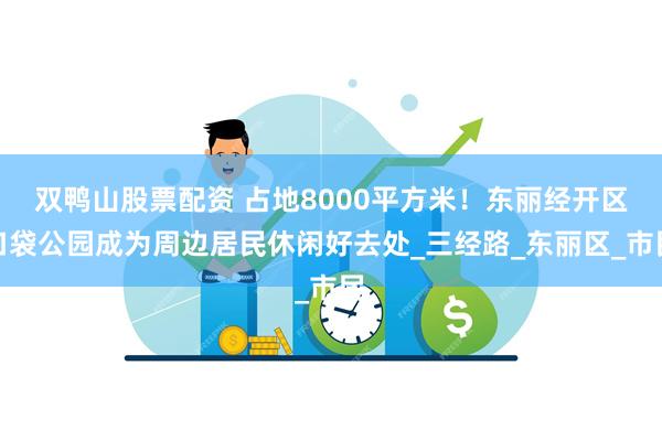 双鸭山股票配资 占地8000平方米！东丽经开区口袋公园成为周边居民休闲好去处_三经路_东丽区_市民
